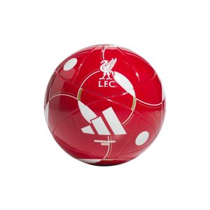 LFC MINI HOME